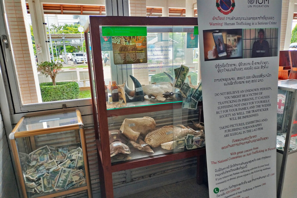 At Wattay International Airport in Vientiane, anti-wildlife smuggling adverts now sit behind adverts warning against human trafficking. The advert threatens wildlife traffickers with arrest and jail time should they be found smuggling illegal wildlife products. Image by Mongabay.