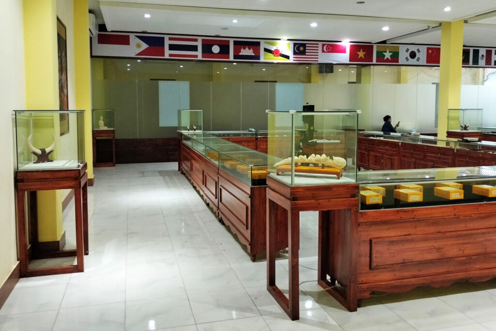 Large ivory carvings, some made from a single tusk, were seen for sale in June 2025 at Ancient Giftshop, which also goes by Agarwood Museum in Luang Prabang. Typically, only pre-arranged groups of Chinese tourists can enter, but Mongabay was able to briefly enter while security guards were absent. Image by Mongabay.
