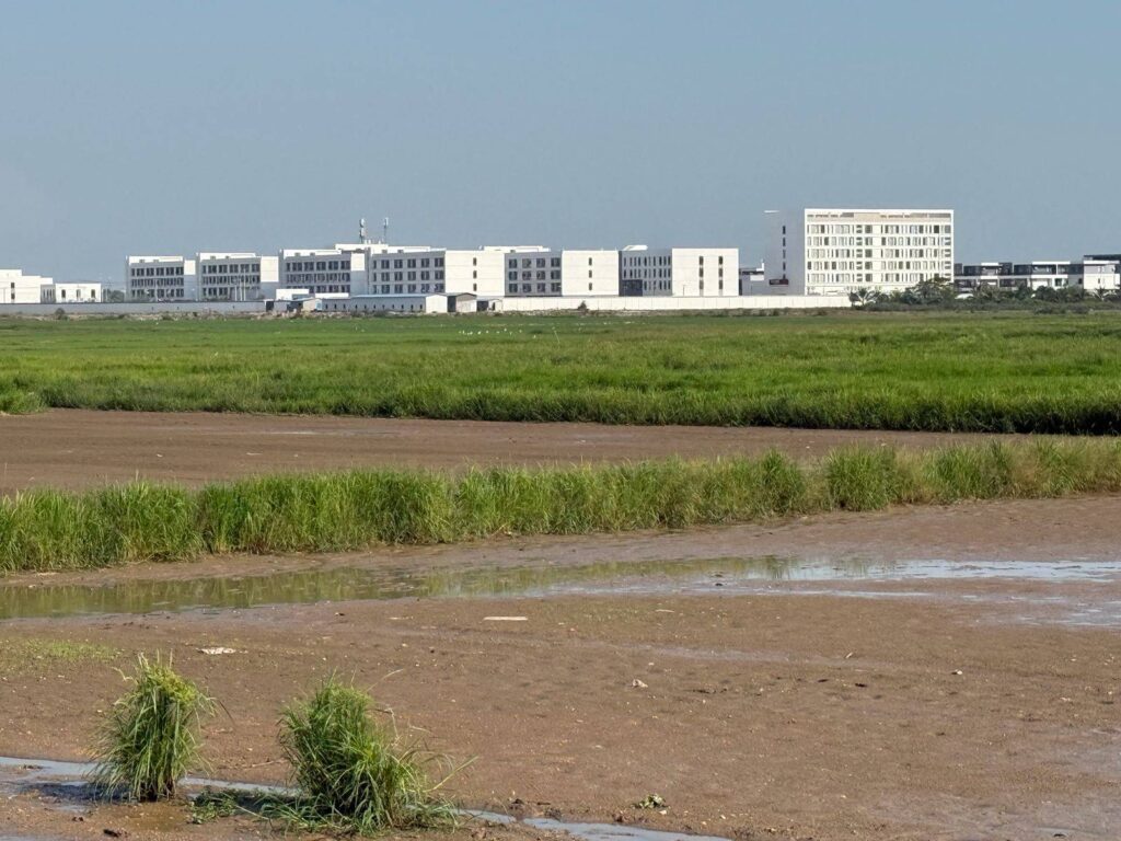 A view of the compound called "Prince 4" from across a field on Feb. 20, 2026 in Cambodia's Sampov Poun city. (Mech Dara/Mekong Independent)